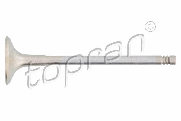 Exhaust Valve (107 133)