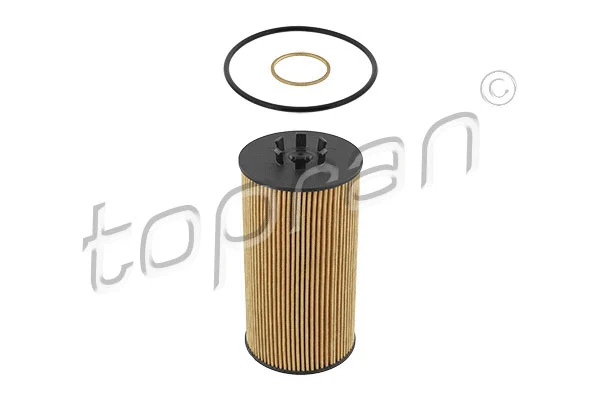 Oil Filter (112 957)