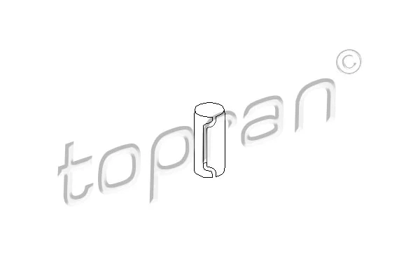 Sleeve, control arm mounting (200 509)