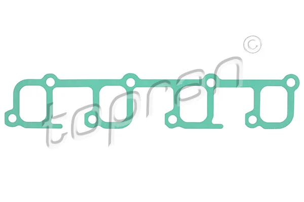 Gasket, intake manifold (203 858)