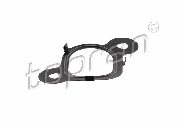 Gasket, intake manifold (113 134)