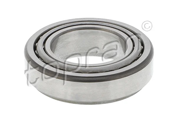 Wheel Bearing (103 369)