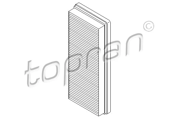 Air Filter (407 918)