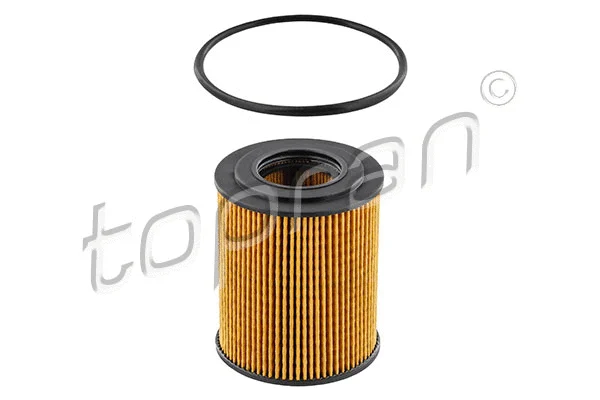 Oil Filter (205 593)