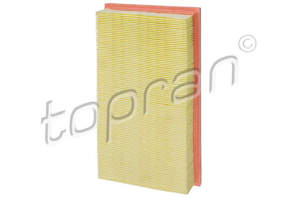 Air Filter (400 319)