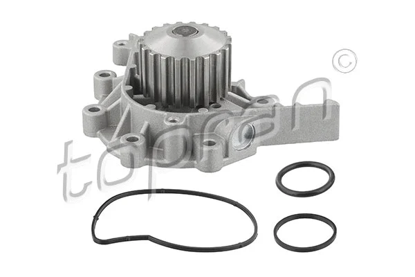 Water Pump, engine cooling (720 168)