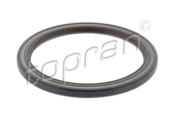 Shaft Seal, crankshaft (720 101)