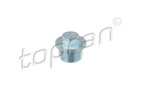 Screw Plug, oil sump (107 500)