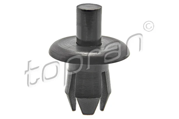 Expanding Rivet (102 540)