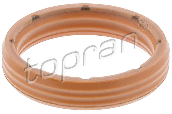 Seal Ring, hydraulic filter (108 761)