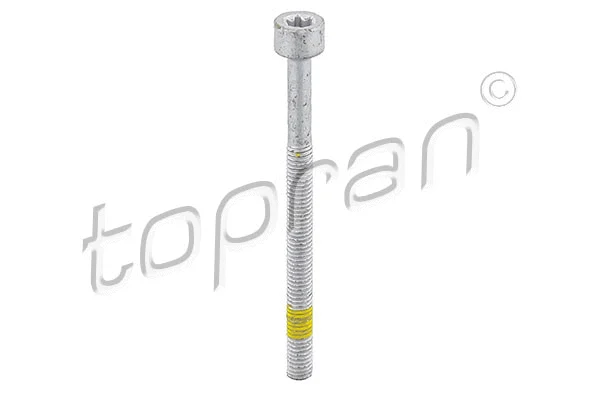 Screw (409 573)
