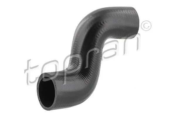 Radiator Hose (205 721)
