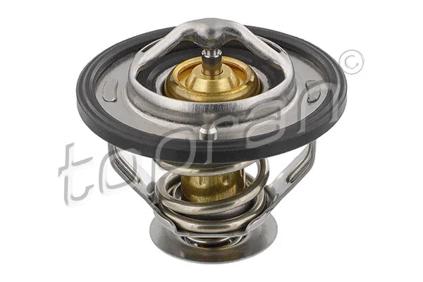 Thermostat, coolant (630 305)