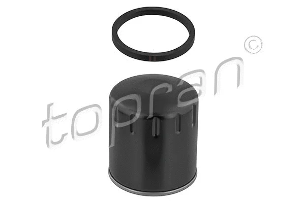 Oil Filter (720 803)