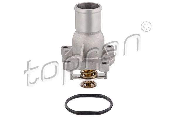 Thermostat, coolant (207 933)