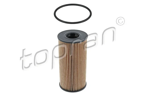 Oil Filter (208 070)