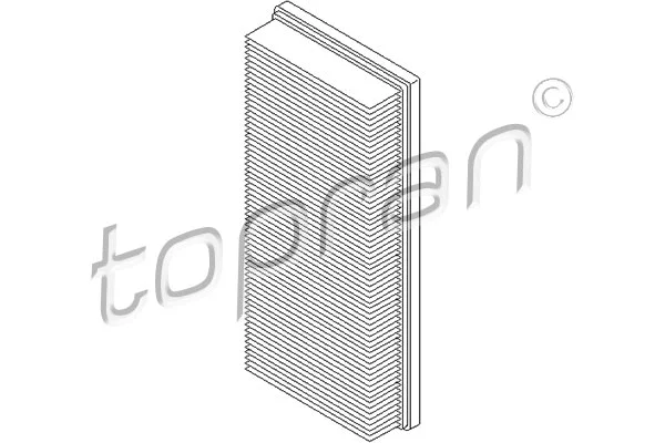 Air Filter (301 915)