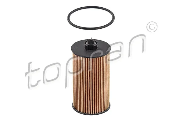 Oil Filter (207 309)