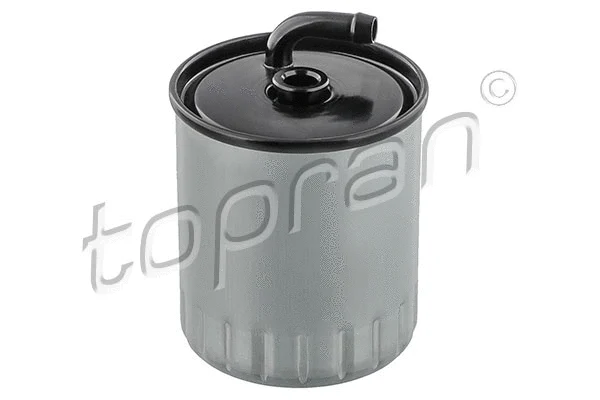 Fuel Filter (407 885)
