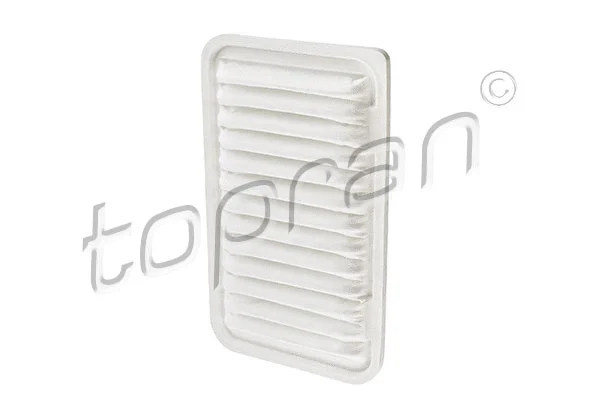 Air Filter (207 723)