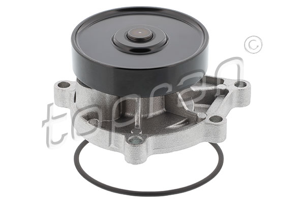 Water Pump, engine cooling (502 587)