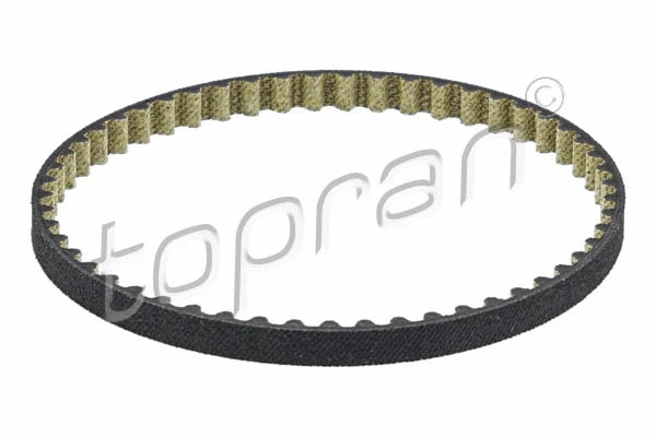 Timing Belt (117 020)