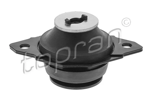 Mounting, engine (102 742)