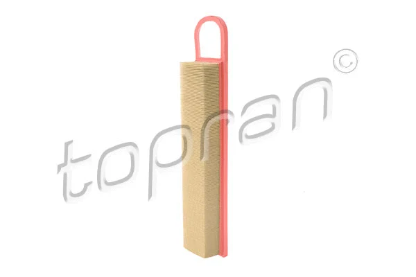 Air Filter (501 528)