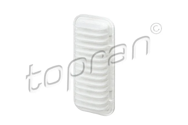 Air Filter (723 232)