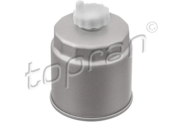 Fuel Filter (820 243)