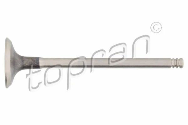 Exhaust Valve (700 660)