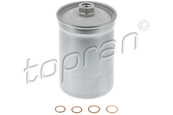 Fuel Filter (300 531)