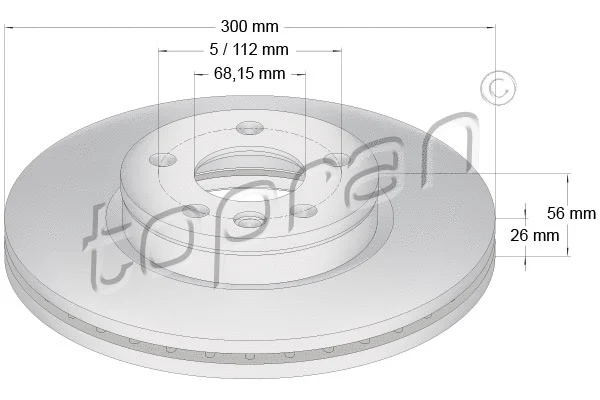Brake Disc (109 523)