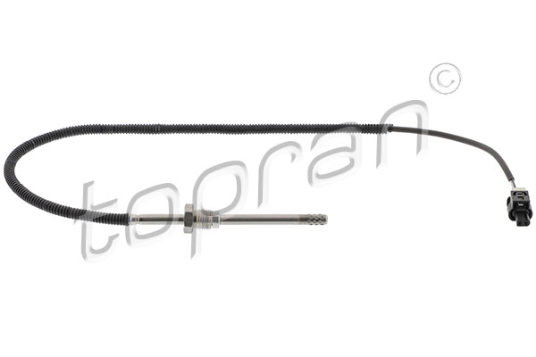 Sensor, exhaust gas temperature (638 556)