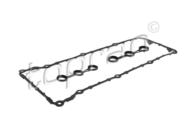 Gasket Set, cylinder head cover (500 941)