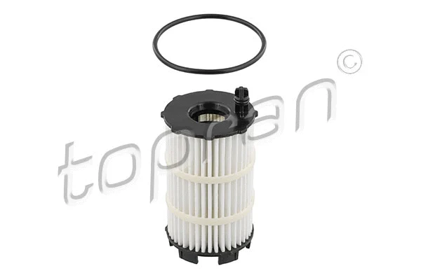 Oil Filter (113 155)