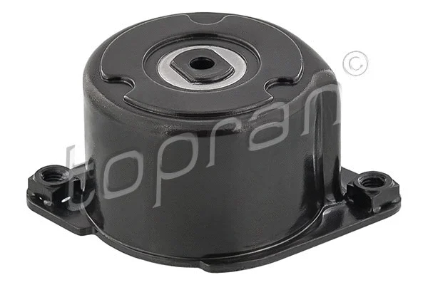 Belt Tensioner, V-ribbed belt (501 499)