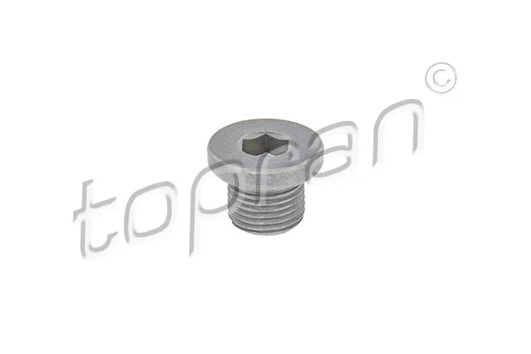 Screw Plug, oil sump (723 245)