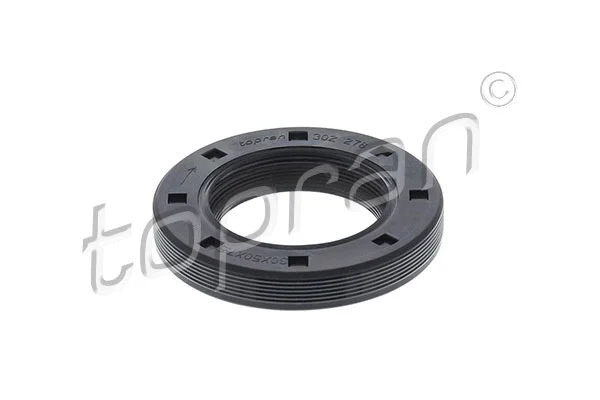 Shaft Seal, crankshaft (302 278)