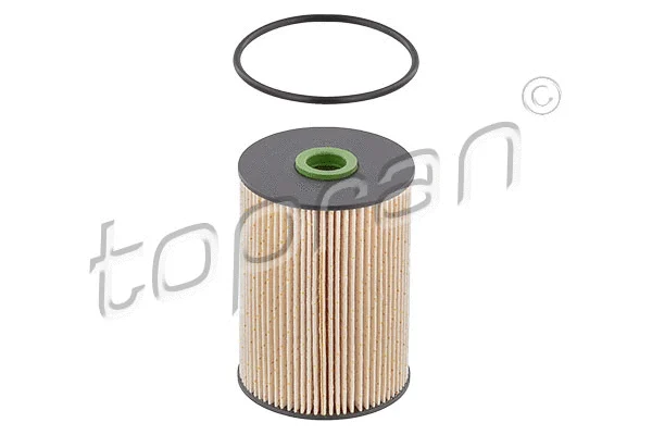 Fuel Filter (111 169)