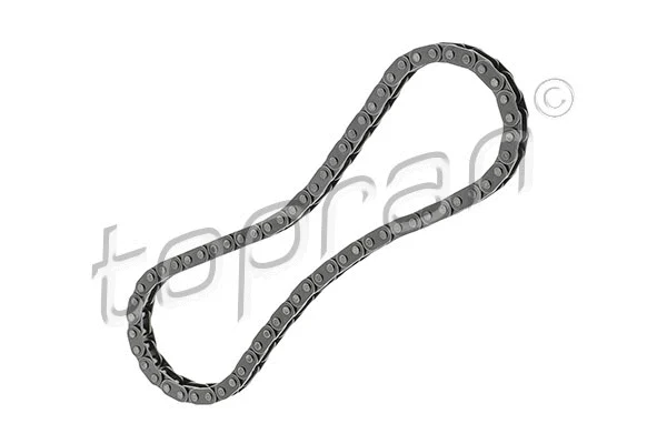 Timing Chain (632 659)