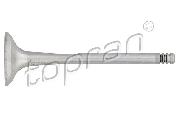 Exhaust Valve (107 286)