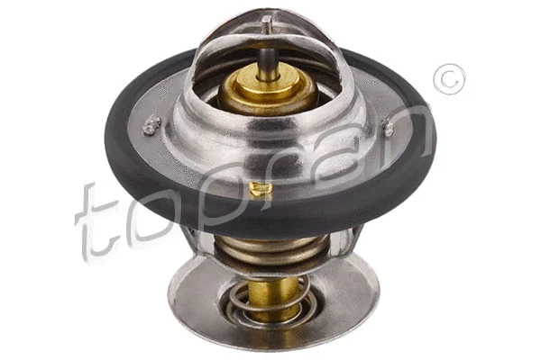 Thermostat, coolant (300 597)