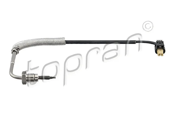 Sensor, exhaust gas temperature (409 586)