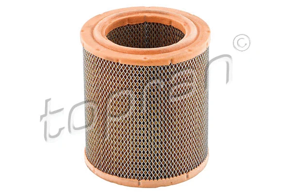 Air Filter (720 969)