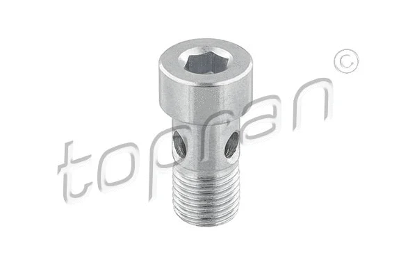 Banjo Bolt, charger (118 522)