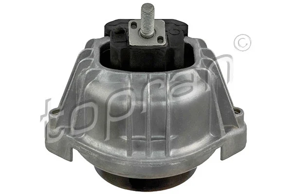 Mounting, engine (502 097)