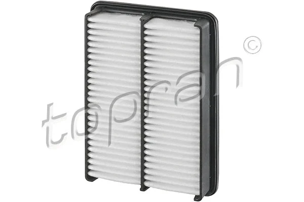 Air Filter (820 170)