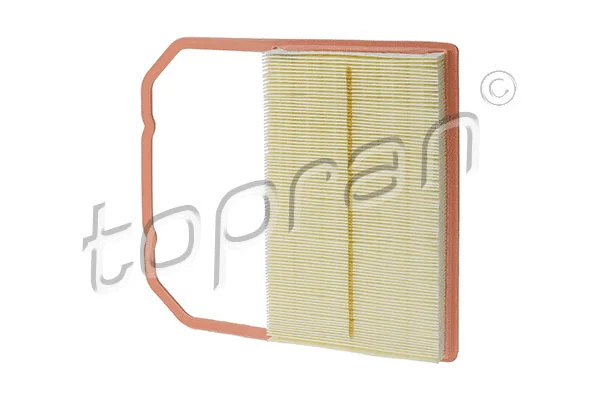 Air Filter (620 874)