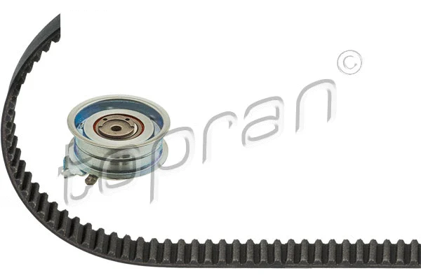 Timing Belt Kit (112 131)